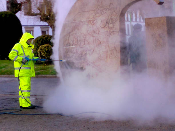 Best Roof Pressure Washing  in Tichigan, WI